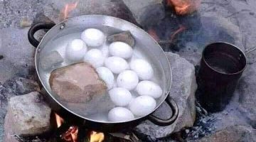 “مش هتصدق السبب”.. حقيقة لم نكن نعلمها… لماذا يجب وضع حجر مع البيض أثناء سلقه !!