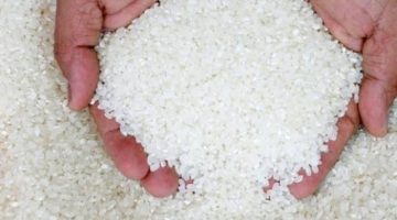 *أشتري وخزن بسرعة*…انهيار حاد في أسعار الأرز اليوم ومفاجأة في طن الأرز تُسعد المواطنين تعرف على التفاصيل