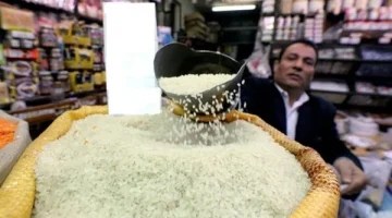 الكيلو نزل 13 جنيه| بشرى سارة بشأن أسعار الأرز في المحلات بعد الارتفاعات السابقة