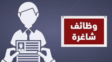 براتب يبدأ من 4 الأف .. تفاصيل وظائف وزارة العمل في محافظة الجيزة