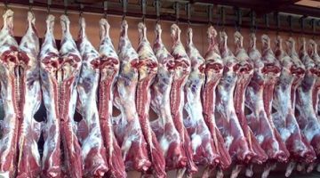 «متجيش تقول معرفش الاسعار».. أسعار اللحوم الحمراء البلدي اليوم الخميس 13-7-2023