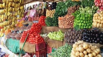 “فلوسنا هتطير”… ارتفاع شديد في أسعار الفاكهة والخضار ،سنعرض لك الأسعار الجديدة للفاكهة والخضار اليوم ١٤ يوليو ٢٠٢٣ في جميع أسواق مصر!.