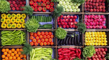 التوم سعره عدى المانجا… . أسعار الخضروات والفاكهة اليوم الخميس 28 يوليو للعام الحالي 2023