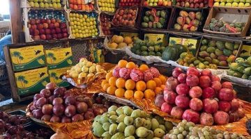 “المشمش بـ 20 جنيه”.. أسعار الفاكهة اليوم في سوق .. تعرف علي التفاصيل!!