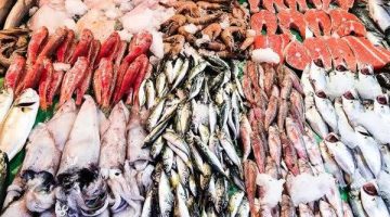 63 جنيها لكيلو البلطي.. أسعار السمك والمأكولات البحرية في سوق العبور اليوم الثلاثاء 25-7-2023