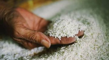 «الأرز ركب الصاروخ»..وزارة التموين تكشف حقيقة رفع الدعم عن الأرز من البطاقات التموينية