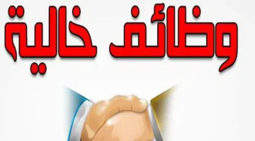 فرص مش هتتكرر تاني.. وزارة العمل تعلن عن وظائف شاغرة للشباب| كافة التفاصيل