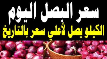 سعر البصل اليوم الأربعاء 9 أغسطس.. الكيلو بكام للمستهلك النهاردة