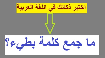 «لديك 3 محاولات فقط».. هل تعرف جمع كلمة بطيء في اللغة العربية؟.. اختبار الذكاء اللغوي