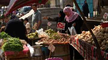 “تراجع الثوم”أسعار الخضراوات والفواكه اليوم الأربعاء في الأسواق المصرية