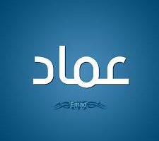 «اختبر ذكائك» ….ما هو جمع كلمة (عماد) في قاموس اللغة العربية؟