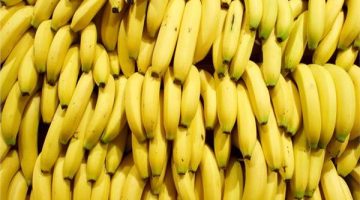 «هتموتي عيالك».. عالم يكشف عن مفاجأة خطيرة بشأن أكل الموز.. احذروا هذا النوع من الموز نهائيا!!