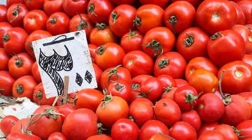خراب بيوت.. ارتفاع أسعار الطماطم اليوم الأربعاء 20 سبتمبر في الأسواق وتوقعات بوصولها لسعر قياسي