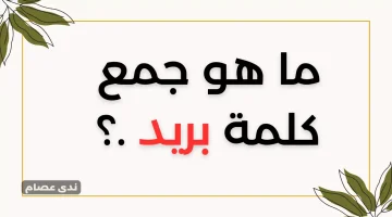 تعرف علي قوتك اللغوية.. هل تعرف ما هو جمع كلمة «بريد» في معجم اللغة العربية؟