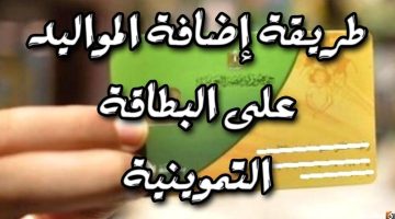 اللي جاب عيل هيضيفه .. الآن إضافة المواليد الجدد على بطاقات التموين .. الرابط والتفاصيل