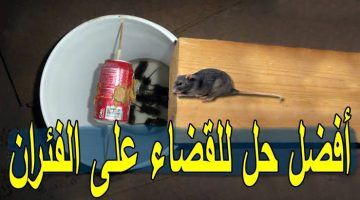 مش هتلمحي طرف فأر .. طرق عبقرية للتخلص من ” الفئران ” وطردها خارج حدود المنزل بلا رجعة !!