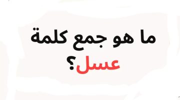 لغز للعباقرة فقط !! .. هل تعلم ما هو جمع كلمة “عسل” في اللغة العربية؟.. الإجابة صادمة!!!