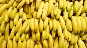 «سم قاتل».. عالم يحذر من تناول الموز في هذا الوقت خلال اليوم يتحول الى سم قاتل يدمر الكلى والمناعة..!!