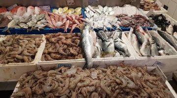 سم قاتل…6 أنواع من السمك احذر من شرائها أو تناولها هتموتك بالبطئ…ماتشتريهاش تاني أبدا!!