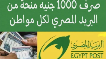 شوف بطاقتك لتكون منهم .. البريد المصري يصرف منحة بقيمة 1000 جنيه لهؤلاء الموطنين بالبطاقة الشخصية فقط !!