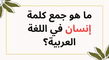 «إجابة حيرت الطلاب»…لن تصدق ما هو جمع كلمة “إنسان” في اللغة العربية؟!…حاول تعرف الإجابة!