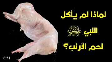 «حقيقة صادقة للجميع»…لماذا نبينا محمد لا يأكل لحم الأرانب ولا لحم الضب!!؟