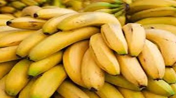 سم قاتل!.. عالمان يكشفان عن مفاجأة بشأن خطورة الموز احذروا هذا النوع