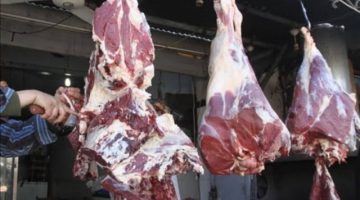 مفاجأة في أسعار اللحوم الحمراء اليوم السبت الموافق 30-3 في محلات الجزارة المصرية ومنافذ الحكومة !!