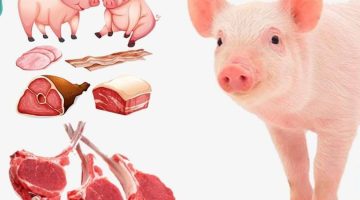معلومة قادره تنقذ حياتك … ما السبب الذي من أجله تم تحريم أكل لحم الخنزير معلومات مدهشة.. تعرف عليها الآن