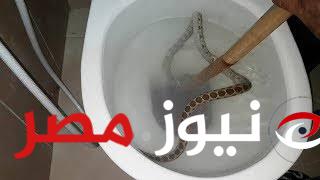 “صدمة مرعبة”.. ثعبان يفاجئ رجلا أثناء الاستحمام في البيت .. ازاي حصل كدة محدش مصدق !!