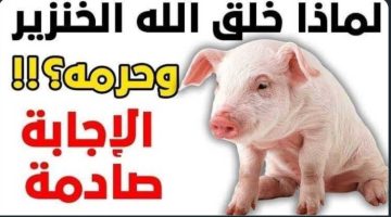 «ازاي عايشين ومنعرفش سبب تحريم اكل لحم الخنزير»..اضرار تناول لحم الخنزير !!