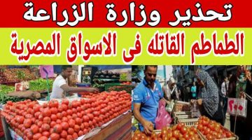وزارة الزراعة تحذر المواطنين من شراء هذا النوع من الطماطم المنتشرة في الأسواق .. سم قاتل