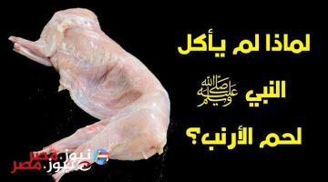 «حقيقة ادهشت الملايين»..لماذا نبينا محمد عليه الصلاة والسلام لا يأكل لحم الأرنب؟؟ وأيضا لا يأكل لحم الضب؟!!