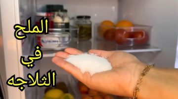 «حيلة سوف تدهشك»… ضعي الملح بهذه الطريقة في الثلاجة والنتيجة سوف تذهلك!!