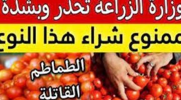 «كارثة بكل المقاييس » تحذير شديد من وزارة الصحة بخصوص هذا النوع السام من الطماطم المنتشر في الاسواق …