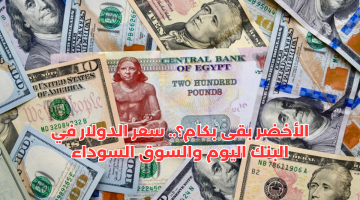 “الأخضر بقى بكام؟”.. سعر الدولار في البنك والسوق السوداء مقابل الجنيه المصري