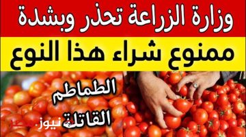 «كارثة كبيرة وحلت علينا» وزارة الصحة تحذر من اكل هذا النوع من الطماطم… بيسبب الامراض الخبيثه كلها ابعد عنو فورا.
