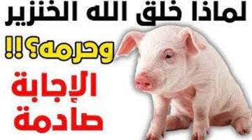 “سبحان الله العظيم “..هل تعلم لماذا حرم الله اكل الخنزير على المسلمين.. إليكم السبب!!