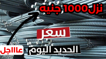 نزل 1000 جنيه.. انخفاض جنوني في أسعار الحديد في مصر “اشتري قبل ما يغلى”