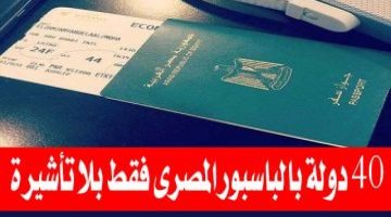 «هتتنطط من الفرحة».. جواز السفر المصري الجديد بدون تأشيرة .. وهذه الدول التى يمكن السفر اليها بدون تأشيرة