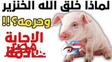 كل ده عايشين ومش عارفين .. لماذا حرم الله أكل لحم ” الخنزير ” على البشر ؟ .. أسباب مدهشة !!