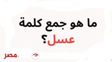 لغز حير جميع معلمي وجهابزة اللغة مستحيل تعرفه!…ما هو جمع كلمة “عسل” في اللغة العربية!