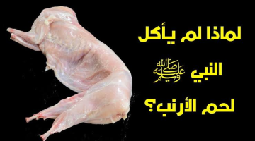 «حقيقة صادمة للجميع».. هل تعلم لماذا نبينا محمد لم يأكل “لحم الأرانب”؟ وكذلك لم يأكل لحم الضب؟!! هتندهش لما تعرف!!