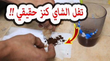 ازاي عايشين ومنعرفش!!.. فوائد رهيبة في استخدام تفل الشاي اللي الكل بيرميه.. حيل عمرك مسمعت عنها..!!
