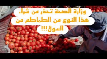 انتبه  من شراء هذا النوع من الطماطم حتى بالمجان !!  وزارة الصحة المصرية تحذر من  شراء نوع طماطم موجود بكثرة في الأسواق