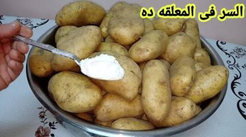 «خليكي ست بيت شاطره».. طريقة تخزين البطاطس الأطول فترة ممكنة.. من السنة لسنة!!