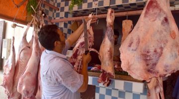 بكام البلدي والضاني النهاردة.. أسعار اللحوم اليوم للمستهلك في محلات الجزارة بتاريخ 8 مايو 2024 والمنافذ التابعة للدولة