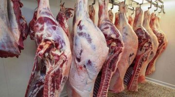 الضاني بكام النهاردة.. قفزة جديدة في أسعار اللحوم اليوم الأحد 12 مايو 2024  بالأسواق