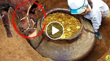 على عمق 12 متر.. مواطن عربي ينقذ حماره من حفرة ليكتشف بعدها أنها بوابة لترسانة من الذهب النادر (فيديو)